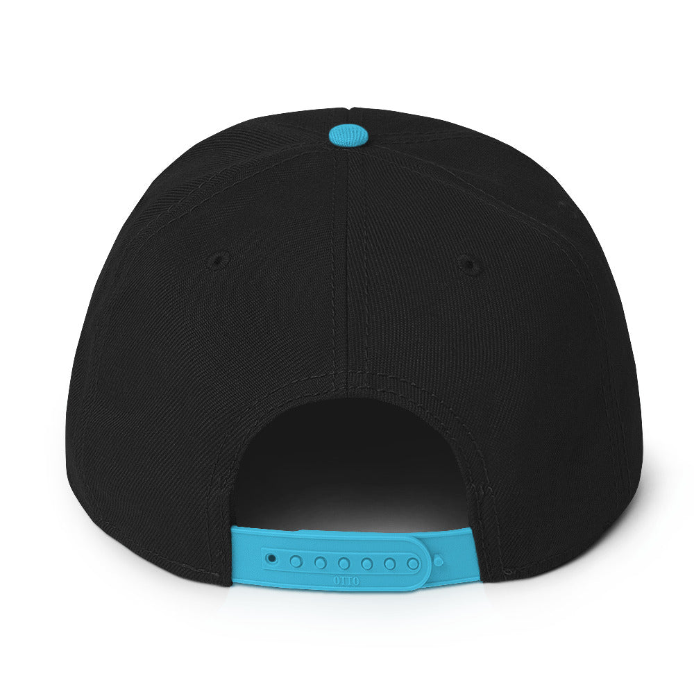 TLM Snapback Hat