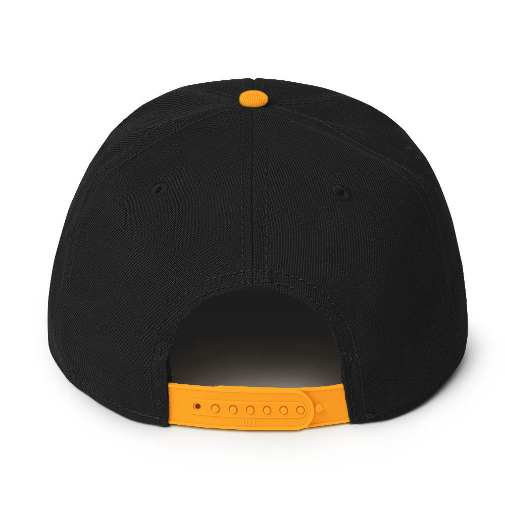 TLM Snapback Hat