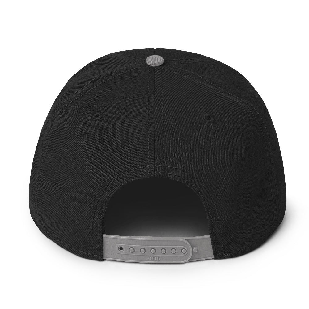 TLM Snapback Hat