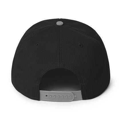 TLM Snapback Hat