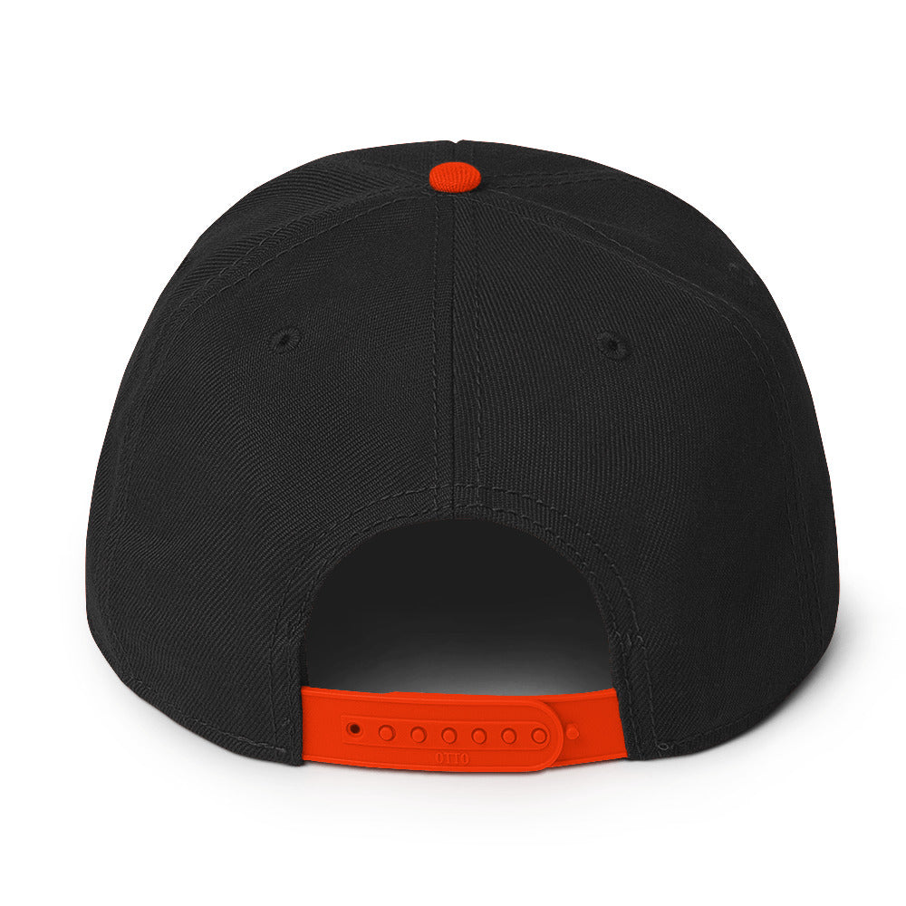 TLM Snapback Hat