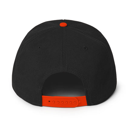 TLM Snapback Hat