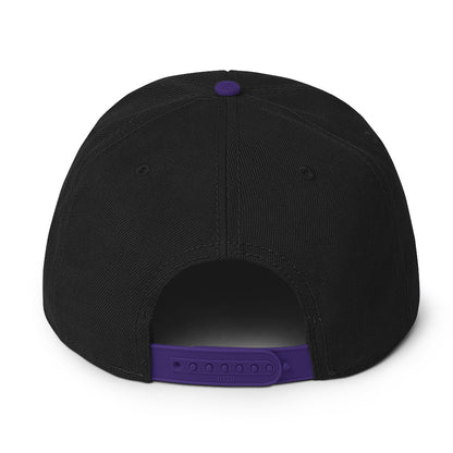 TLM Snapback Hat