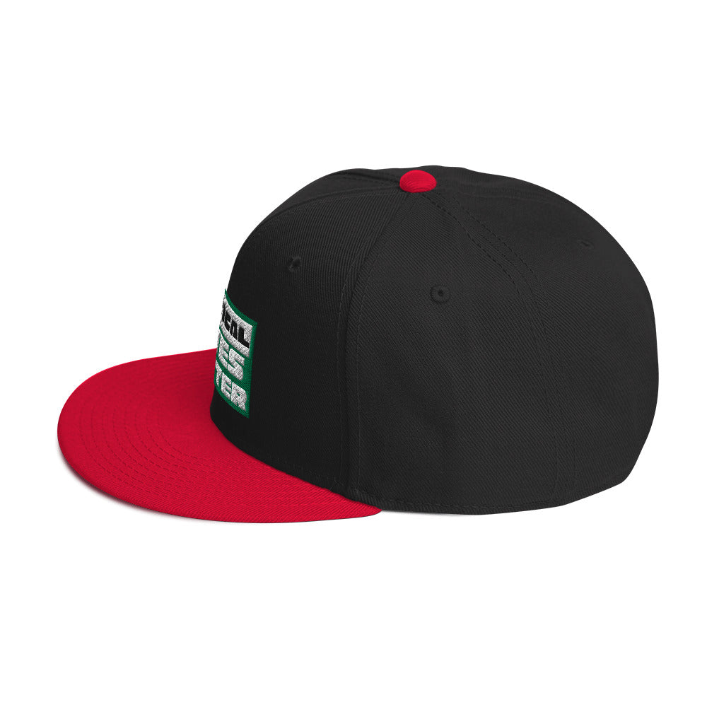 TLM Snapback Hat